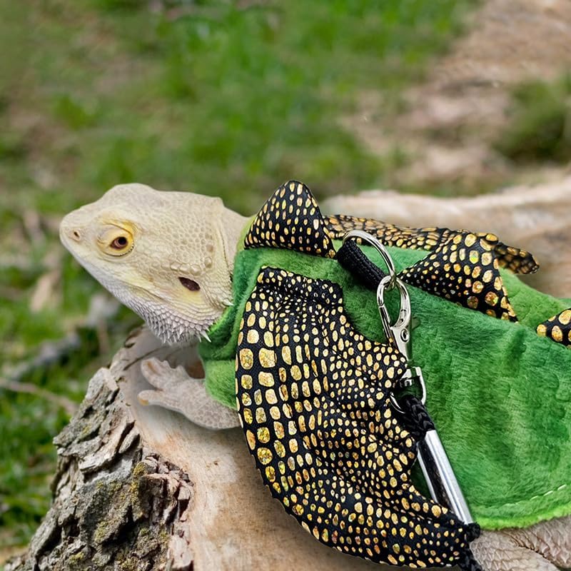 hokable Bearded Dragon Harness Leash Set, Dinosaur Cosplay Halloween Pet Costume for Bearded Dragon Reptiles (Small) - Image 4